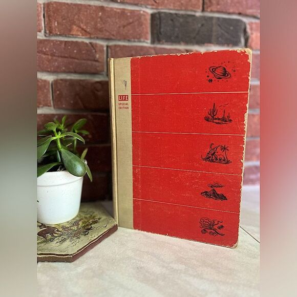 Vintage Hardcover 1956 The World We Live In: Special Edition for Young Readers - Picture 3 of 10